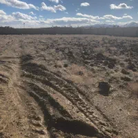 فروش-فوری-زمین-5600-متری-چهاردیواری-جوزدان-خوش-جا