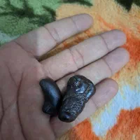 هبهاب عراقی اصل