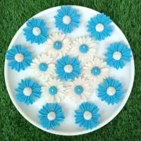 شمع|صنایع دستی و سایر لوازم تزئینی|شیروان (خراسان), |دیوار