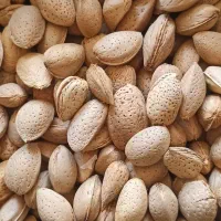 بادام تلخ و شیرین