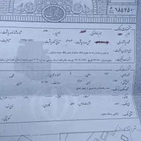 سلام 190مترزمین فروشی|فروش زمین و ملک کلنگی|مشهد, گلبرگ|دیوار