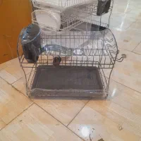 اب چکان دو طبقه اک