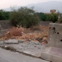 زمین-مسکونی-سند-دار-تک-برگ