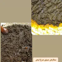 محصولات خانگی و غذایی ارگانیک|خوردنی و آشامیدنی|کلاچای, |دیوار