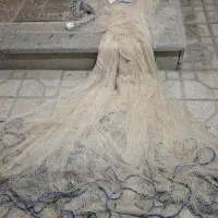 تور ماهیگیری