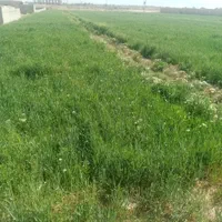 اخذ سند ثبتی