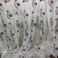 دوعدد پرده حریر