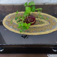 جلو مبلی شیشه ای|مبلمان خانگی و میز عسلی|گرگان, |دیوار