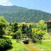 فردا راس ساعت شش، پیاده روی ، ماسال