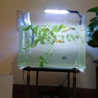 آکواریوم و تصفیه