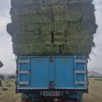 یونجه خشک انباری|حیوانات مزرعه|پیر سلیمان, |دیوار