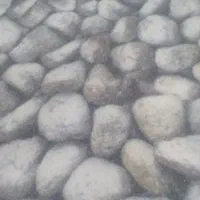 موکت درحد نو