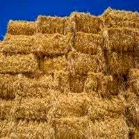 علوفه درجه ی یک