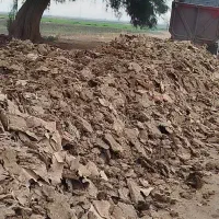 کود مرغی گوشتی