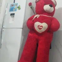 پاندا۲متری