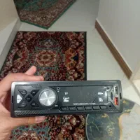 ضبط