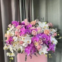 باکس گل و سبد گل های جدید