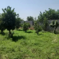 باغچه ۷۱۵متر درب ودیوار وانواع مرکبات مثمر۸ساله