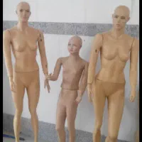 مانکن، اتاق پرو، آویز  و میله رگال