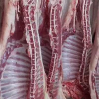 نیروی قصابی