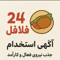 نیرو فلافلی