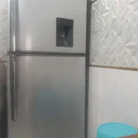 یخچال سوزان سالم