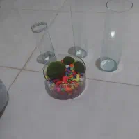تعدادی ظروف