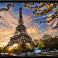 کاغذ دیواری و پوستر.پرده.پارکت|مصالح و تجهیزات ساختمان|اراک, |دیوار