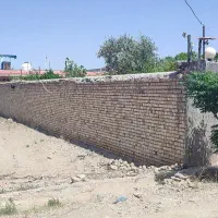 زمین-براصلی-خیابان-24متری-فین-بزرگ