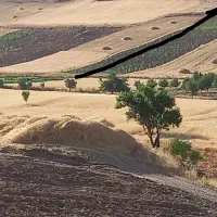 زمین کشاورزی|فروش زمین و ملک کلنگی|سقز, |دیوار