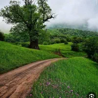 دنبال سرایداری هستم