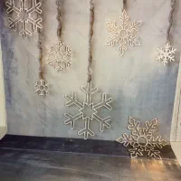 پرده عکاسی دو در سه متر