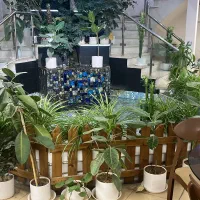 فروش لوازم کافه و رستوران به صورت کلی