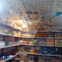 ملزومات عروس هلند