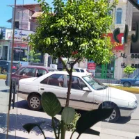 اجاره مغازه ۹۰متری مرکزشهرباتمام انشعابات