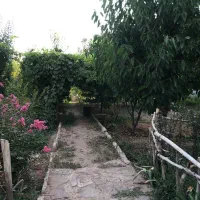 باغ-آبسرد-کوی-پزشکان