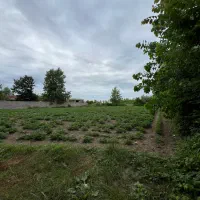 بهشت ۱۰۰۰متری زیبا کنار