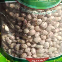 نخود،لوبیاچیتی،