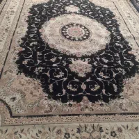 فرش ۵۰۰ شانه تمیز تمیز|فرش|مشهد, کارگران|دیوار