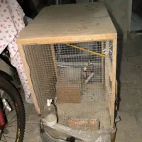 قفس پرنده عروس هلندی وپرندهدهای دیگه|لوازم جانبی حیوانات|کرج, گلدشت|دیوار