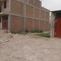 سند تک برگ