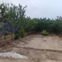 فروش زمین باغی