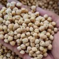 خرید۱۰۰|خوردنی و آشامیدنی|سنقر, |دیوار