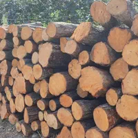 خرید چوب و درخت (جنگلی و صنوبر)