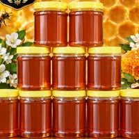 پخش عمده عسل طبیعی آذر شهد