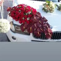 عرضه مستقیم گلدون و گیاه‌های تزئینی تازه|گل و گیاه طبیعی|فولادشهر, ورزشگاه فولادشهر|دیوار