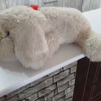 عروسک بزرگ سگ|اسباب‌بازی بچه|شیراز, عادل آباد|دیوار