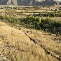 باغ 3ساله انواع مختلف میوه داره همگی ثمر داده|فروش زمین و ملک کلنگی|کرمانشاه, |دیوار