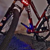 دوچرخه ویوا