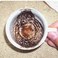 فالکده فاطمه|خدمات پذیرایی، مراسم|بندرعباس, |دیوار